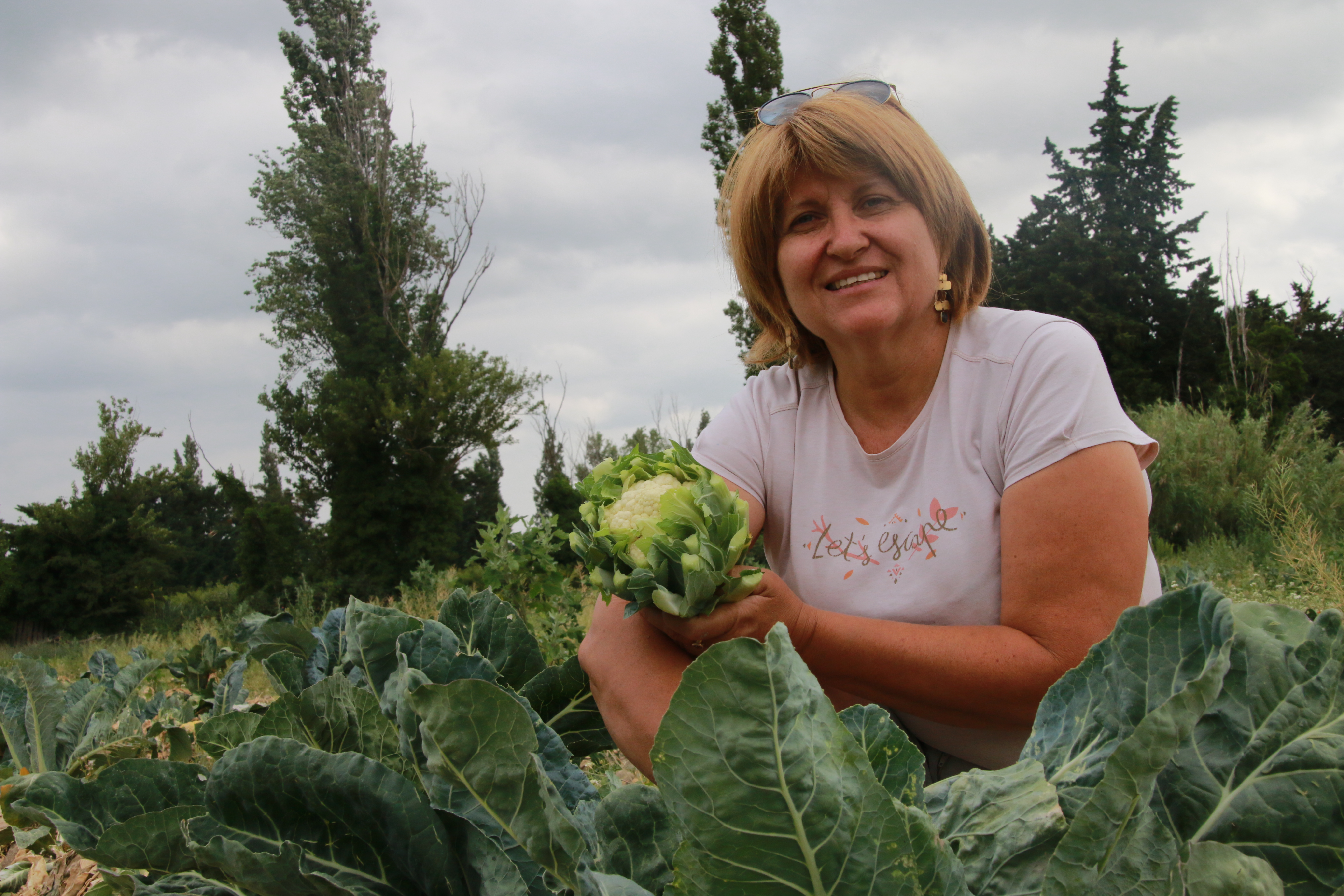 Parce qu'on cultive des filières 100% bio depuis plus de 30 ans, on récolte forcément des fruits et légumes riches en goûts